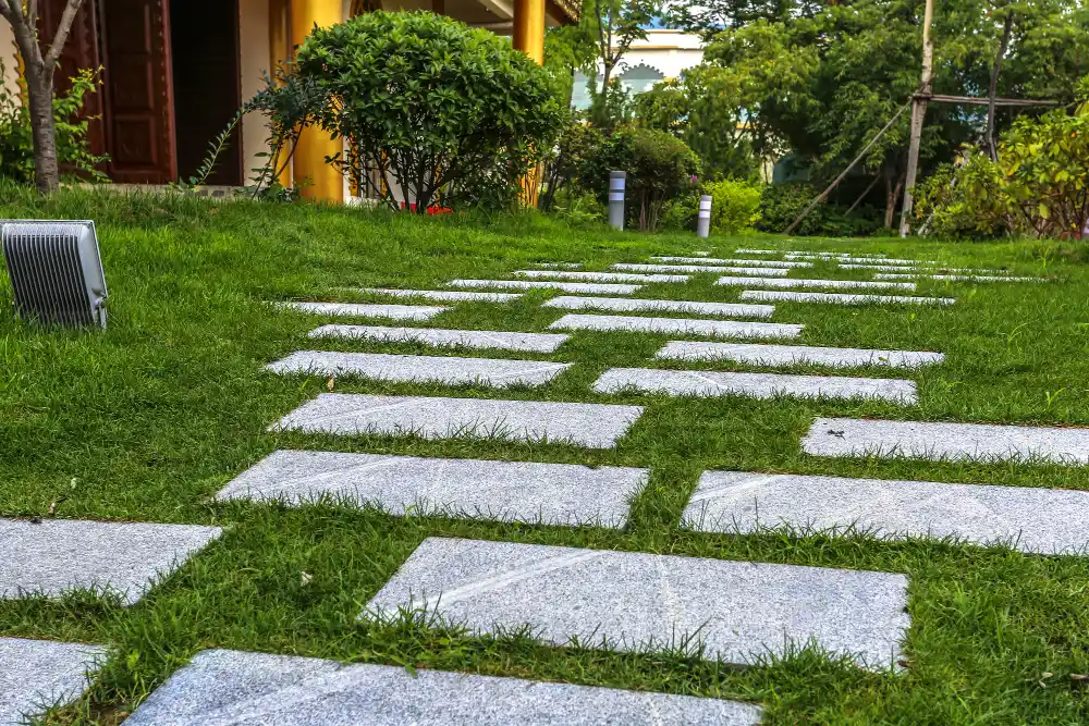 best instant lawn for homes in kyalami