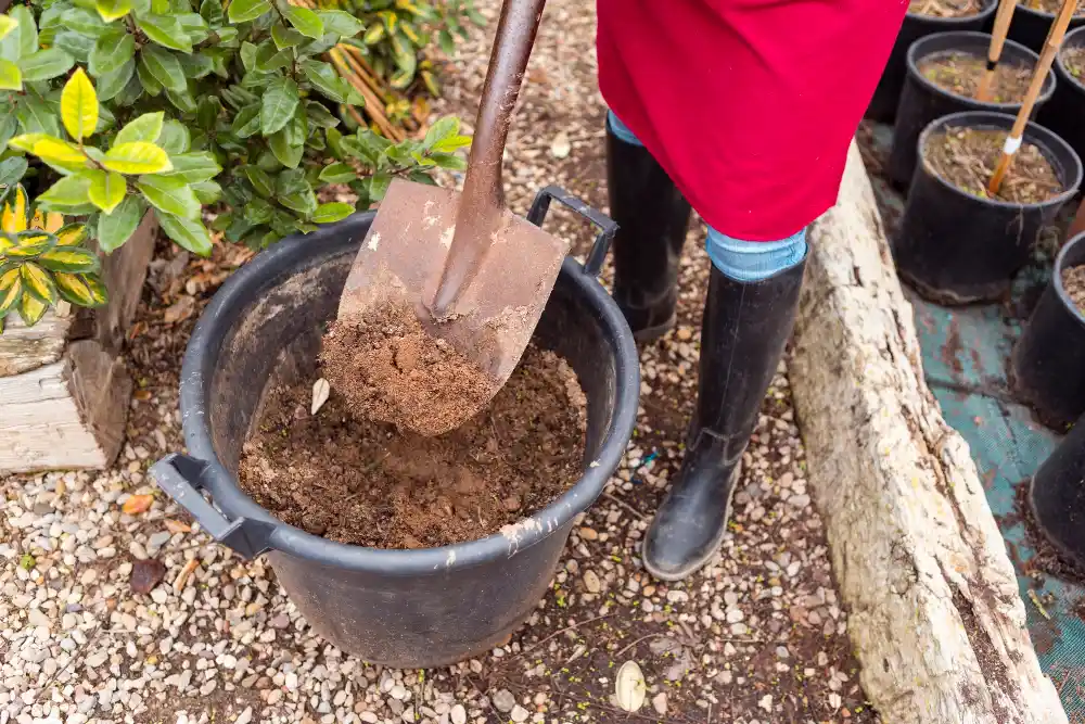 can lawn dressing improve clay soil in midrand gardens