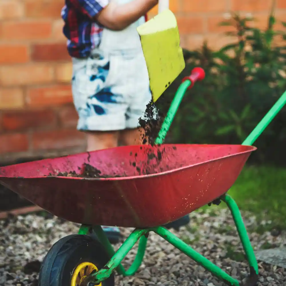 how lawn dressing improves the results of lawn aeration in kyalami