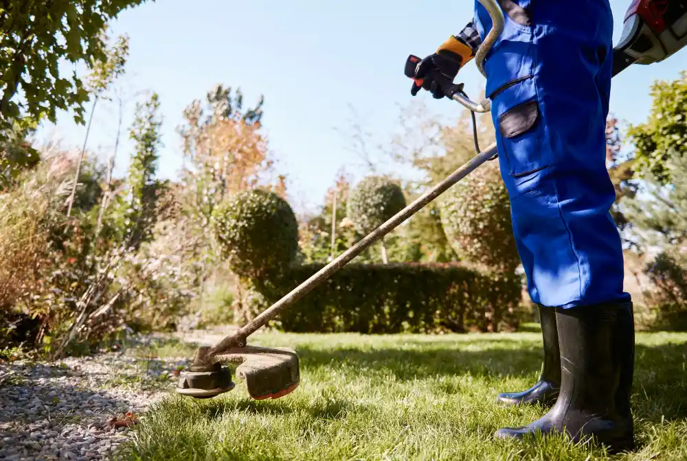 how often should you mow lm berea grass in midrand