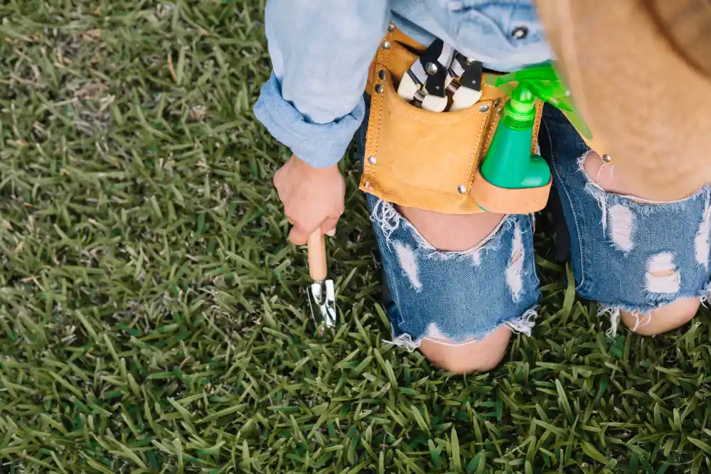 how to control kikuyu grass without damaging your garden